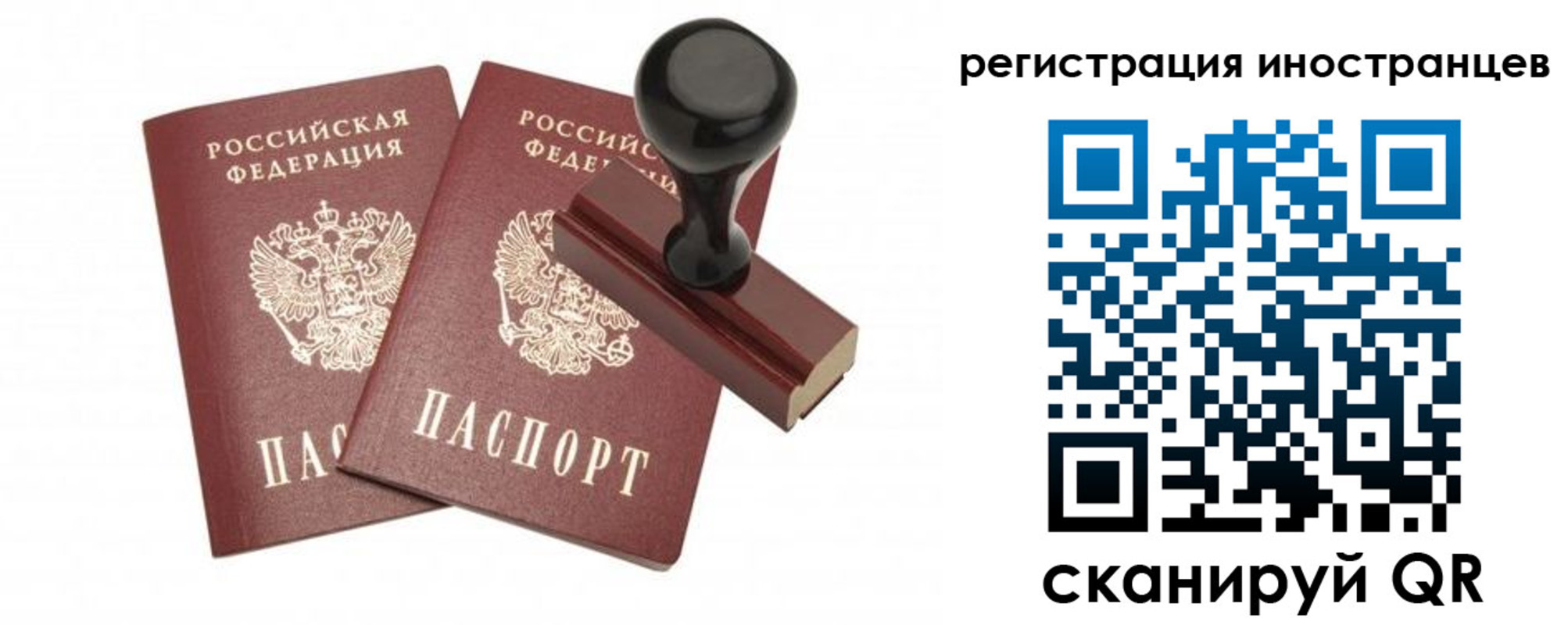 временная регистрация 2025 в Ельне