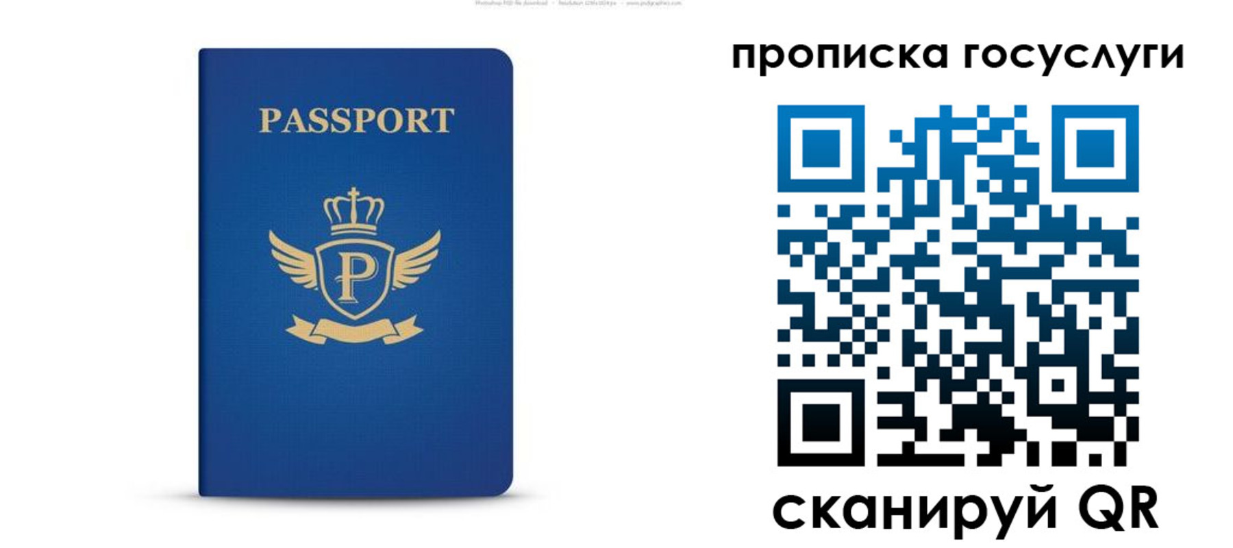 прописка для школы в Ельне